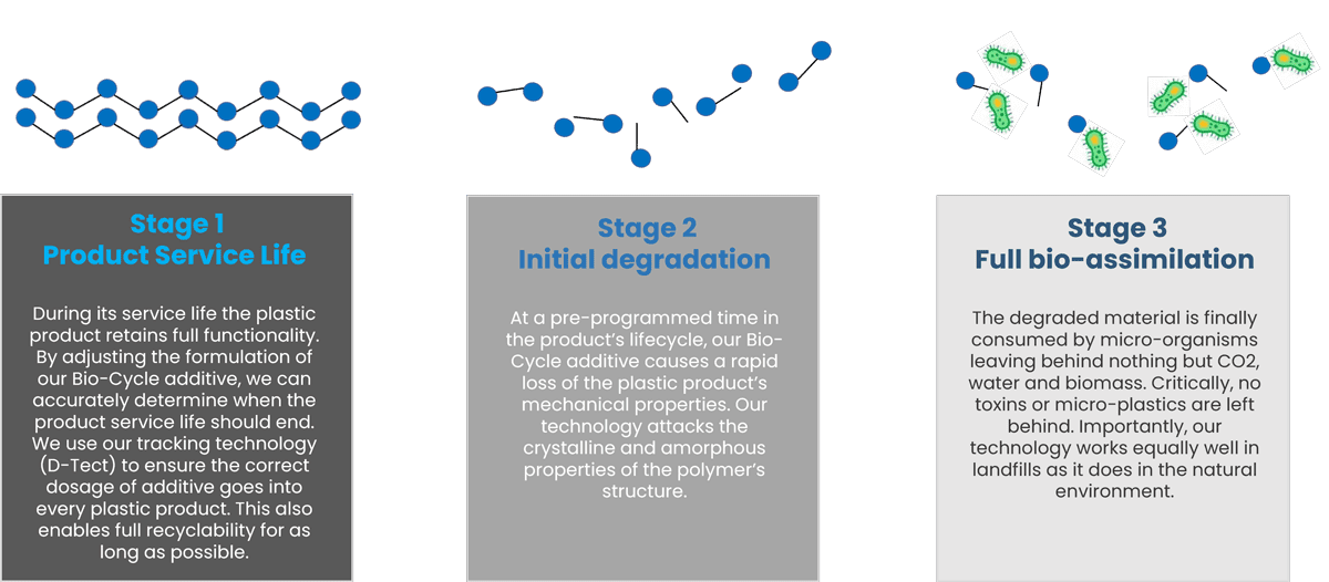 Bio-Cycle-stagesnew