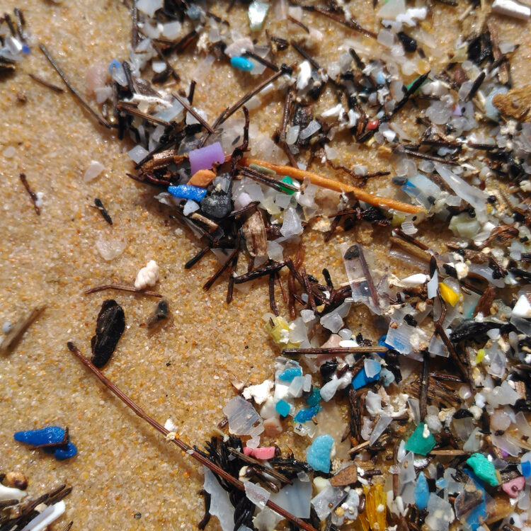 Micro plastics on sand beach